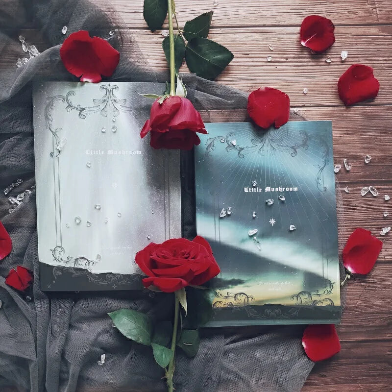 2 Books/Set Little Mushroom Chinese Novel Volume1+2 Lu Feng, An Zhe  Youth Literature Campus Adult Love Fiction Book