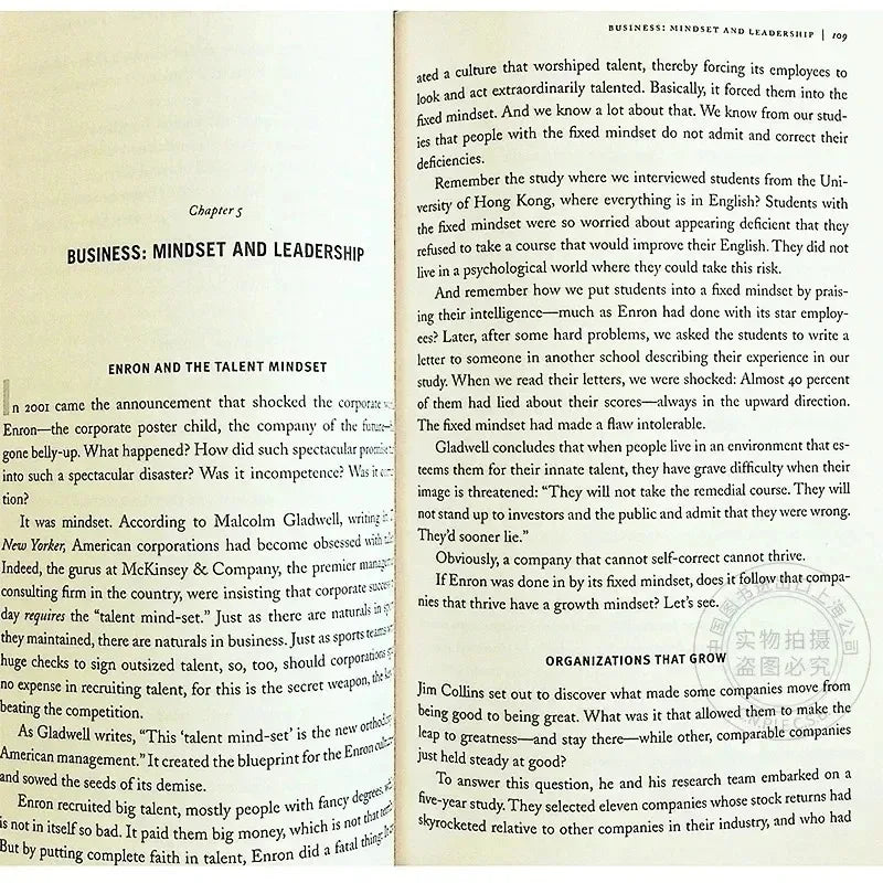 Mindset The New Psychology of Success English Book By Carol S. Dweck Foreign Literature Inspirational Book  Book  Libro Firmas