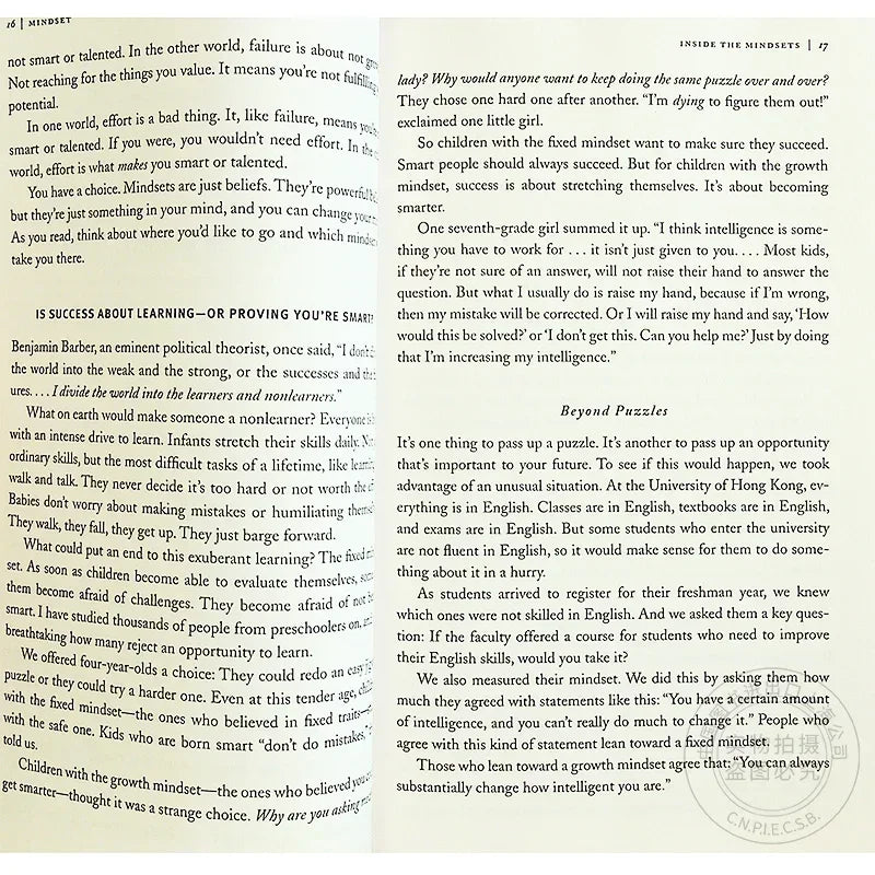 Mindset The New Psychology of Success English Book By Carol S. Dweck Foreign Literature Inspirational Book  Book  Libro Firmas