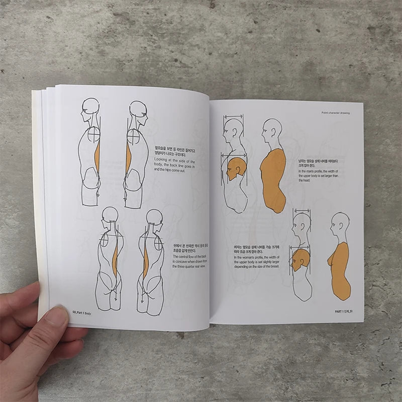 Korean Painter's Secret Character Quick Drawing Book Art Book Human Body Structure Modeling Hand-painted Technique Books
