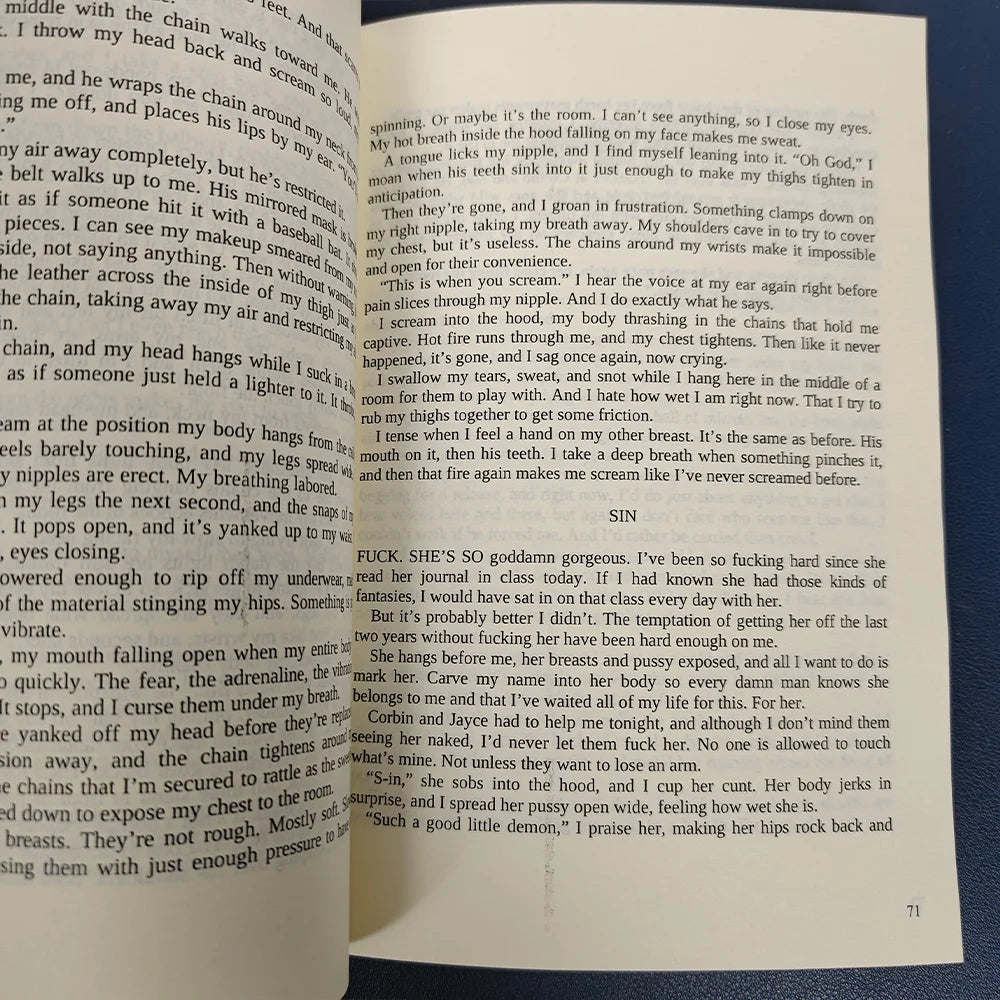 1 book The Sinner: A Dark College Romance Novel English book