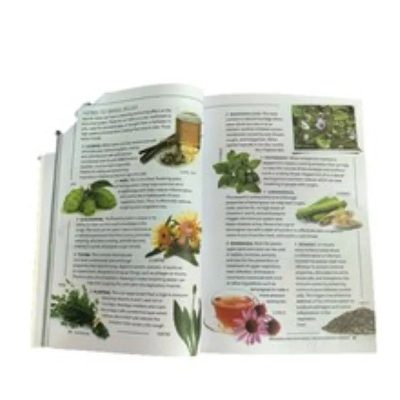Sustain Me The 9 Foundational Pillars for Health Guide Book A Handbook of Natural Remedies in English Paperback libro книги