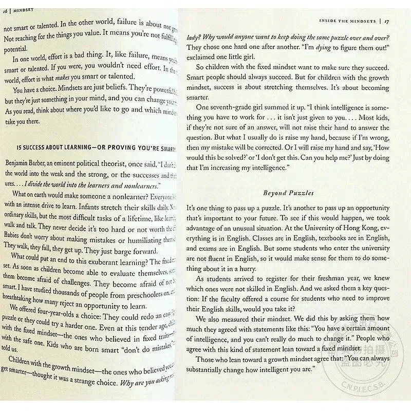 Mindset The New Psychology of Success English Book By Carol S. Dweck Foreign Literature Inspirational Book  Book  Libro Firmas