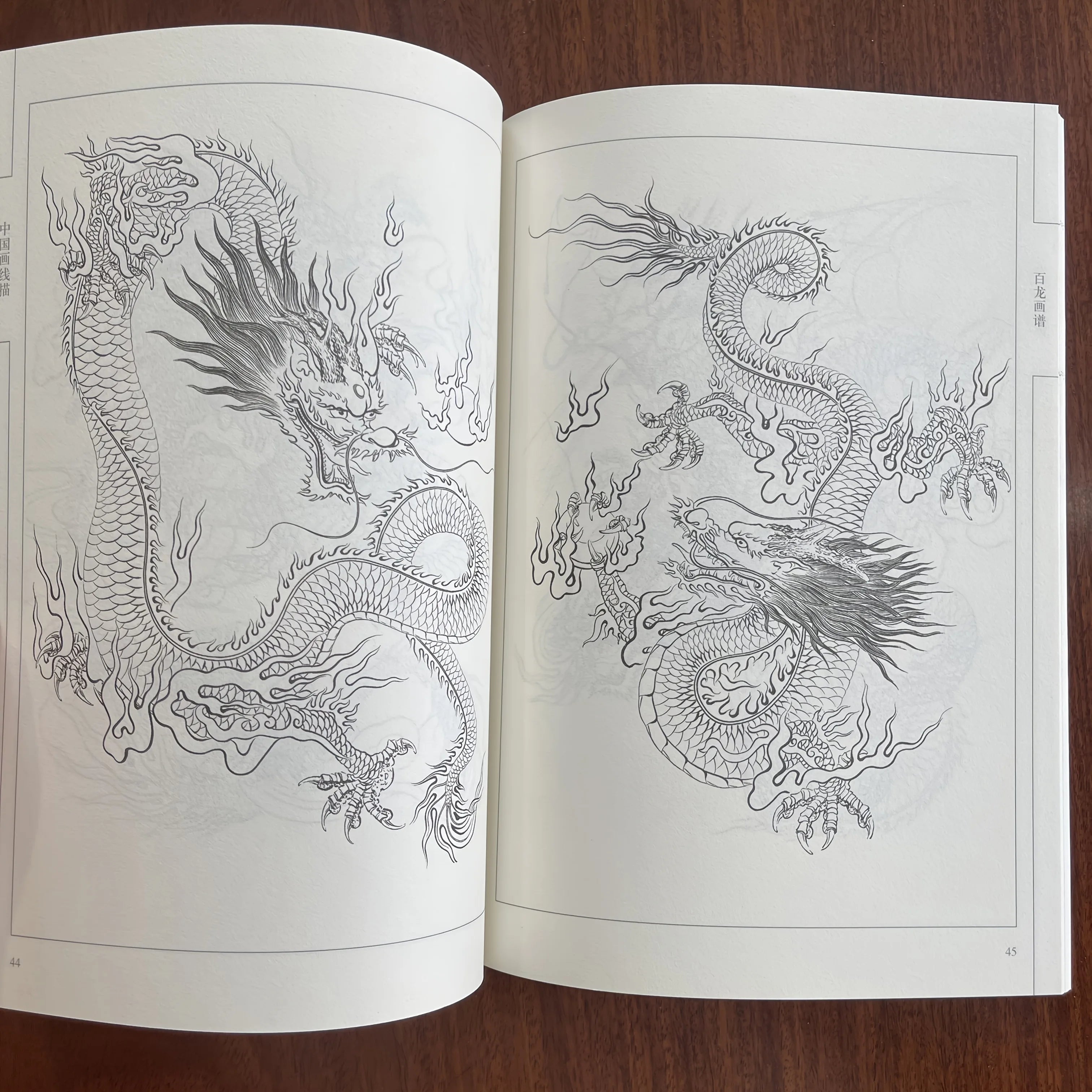 Coloring Book for Adults and Teens Featuring  with Easy and Simple Designs for Relaxation Chinese painting sketch
