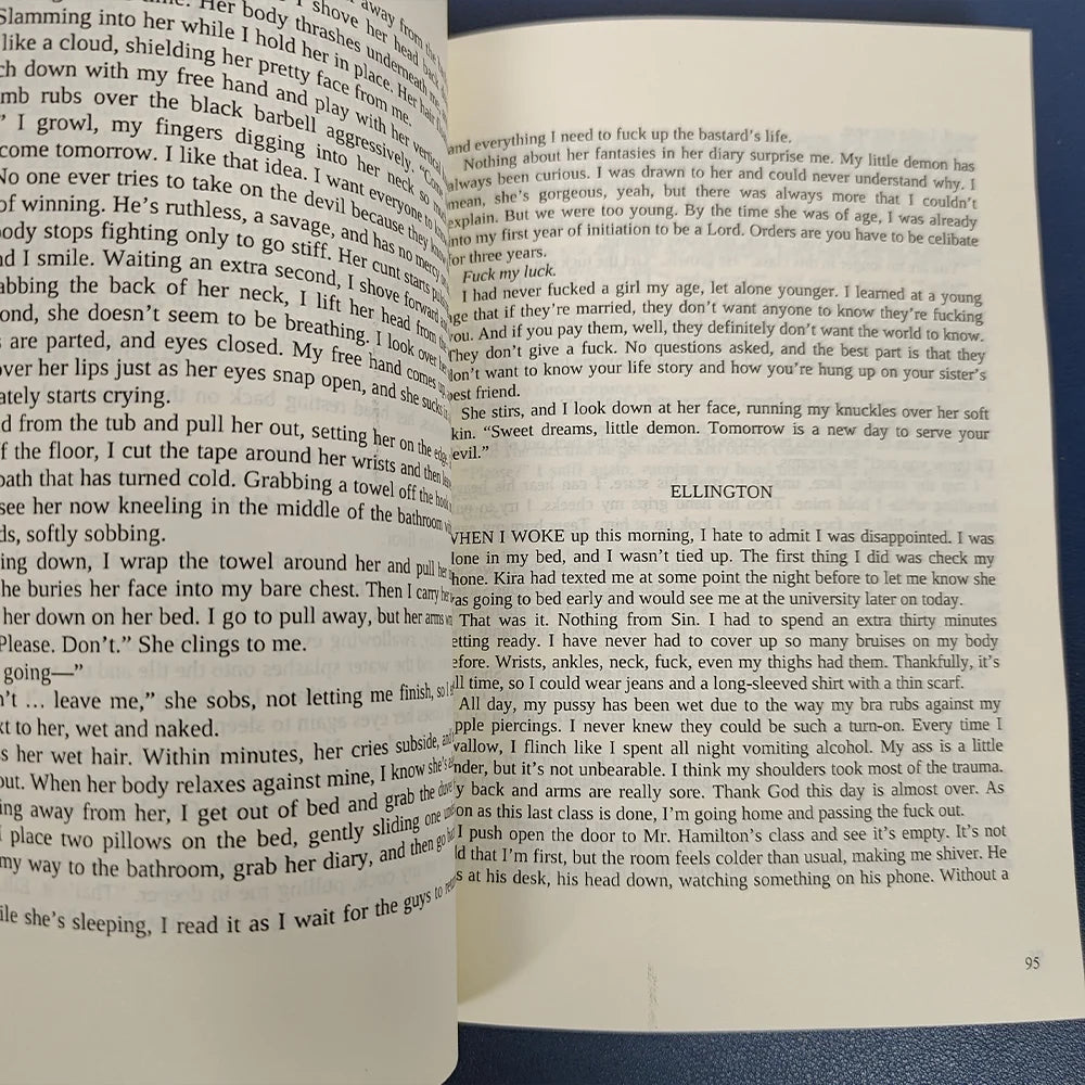 1 book The Sinner: A Dark College Romance Novel English book